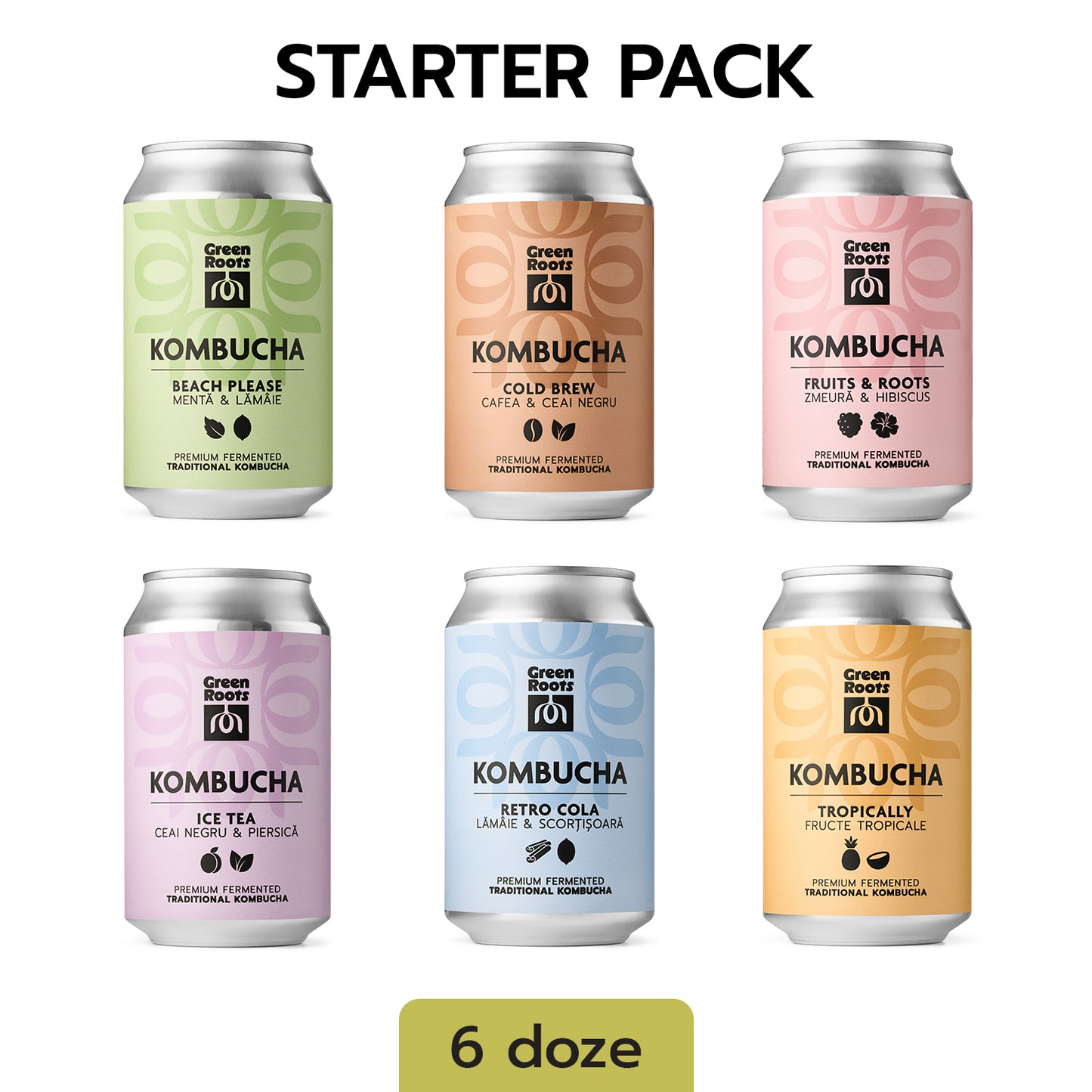 STARTER Pack, 6 doze, ECO Kombucha clasic