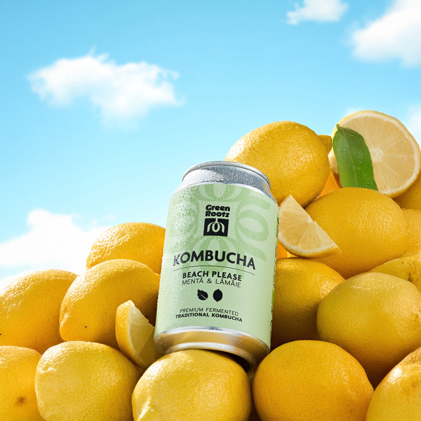 Kombucha BEACH PLEASE Mentă & lămâie