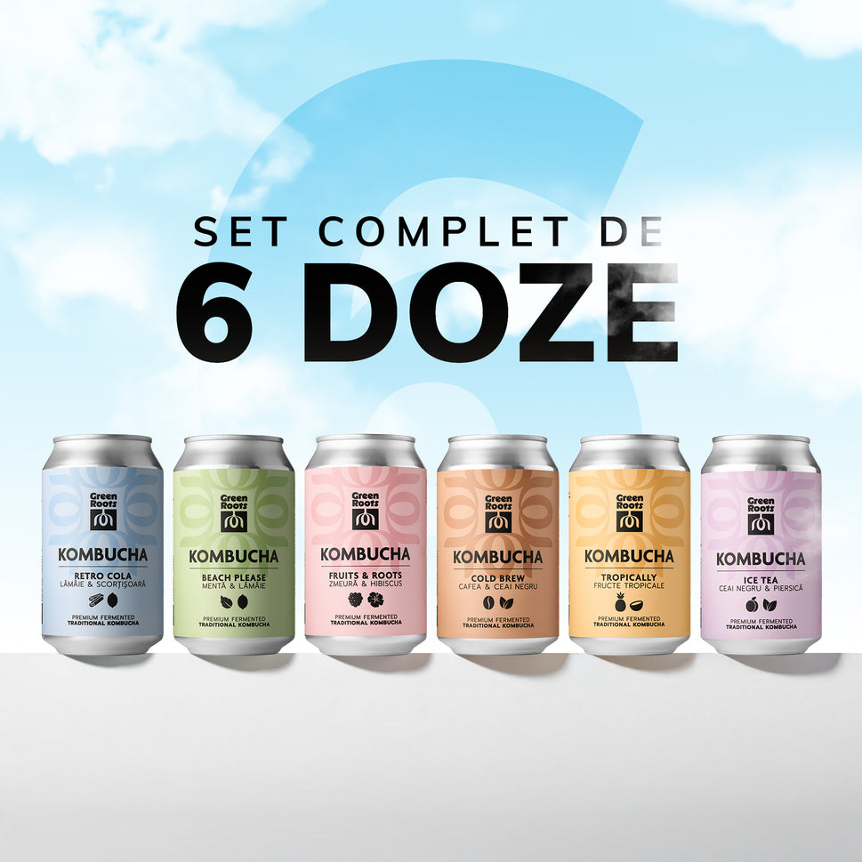 Pachet 6x Kombucha - O singura aroma din fiecare