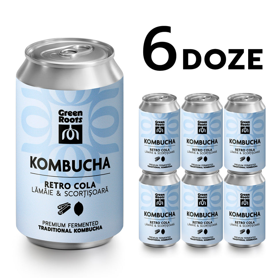 ECO Kombucha, Lamaie & Scortisoara, 6 pack