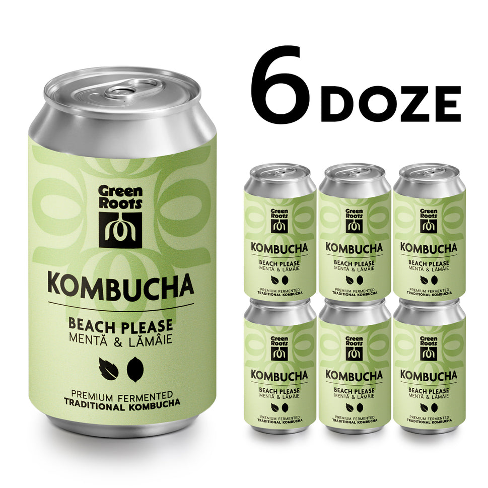 ECO Kombucha, Menta & Lamaie, 6 pack
