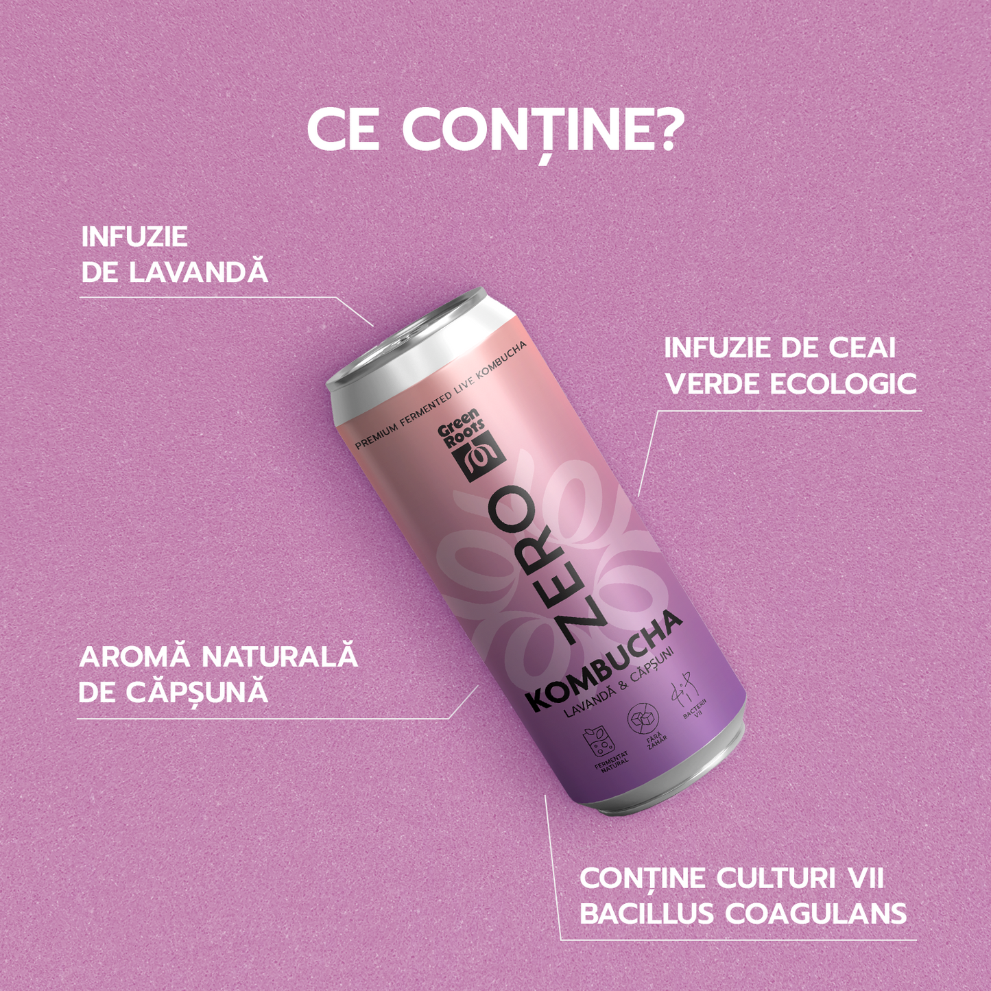 ECO Kombucha ZERO sugar - Lavanda & Capsuni, 6 pack