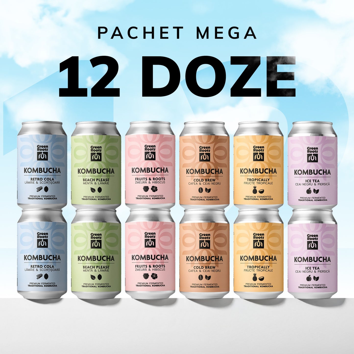 Pachet 12 x Kombucha - 6 Arome ECO (2x din fiecare sortiment)