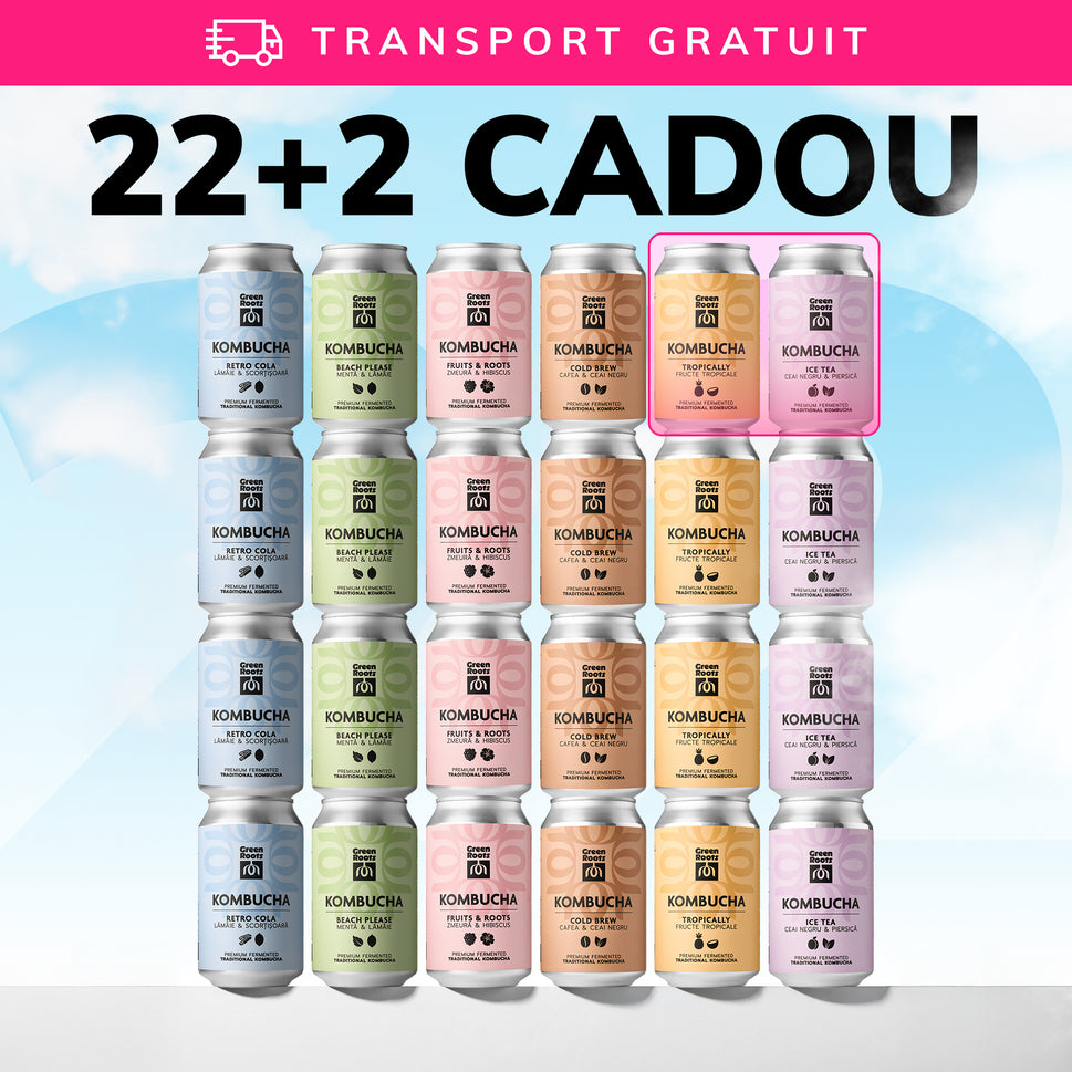 Pachet 24x Kombucha (2 gratuite) - 6 Arome (4x din fiecare sortiment) + Transport Gratuit